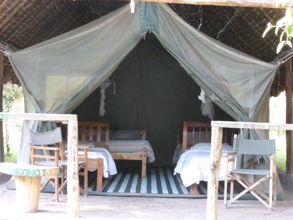 Enchoro Wildlife Camp Hotel Ololaimutiek Bagian luar foto