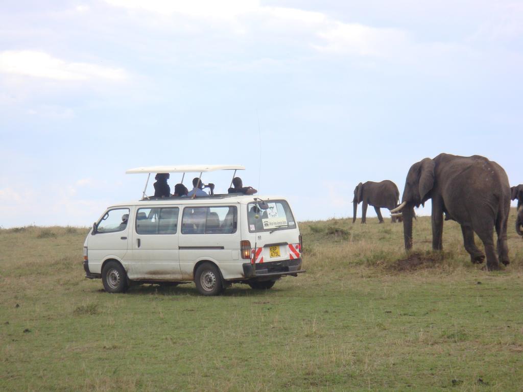 Enchoro Wildlife Camp Hotel Ololaimutiek Bagian luar foto