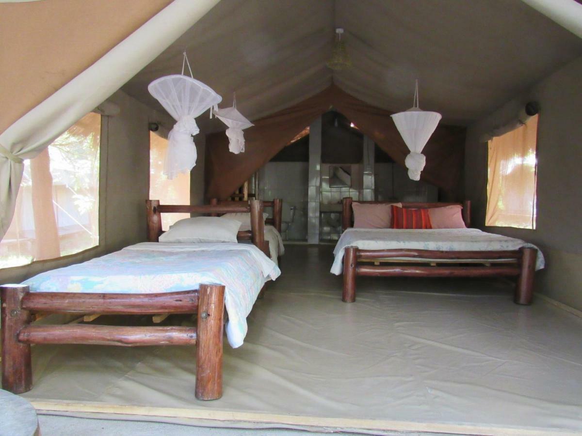 Enchoro Wildlife Camp Hotel Ololaimutiek Bagian luar foto