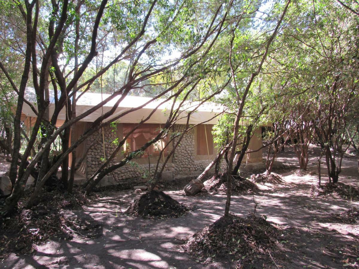 Enchoro Wildlife Camp Hotel Ololaimutiek Bagian luar foto