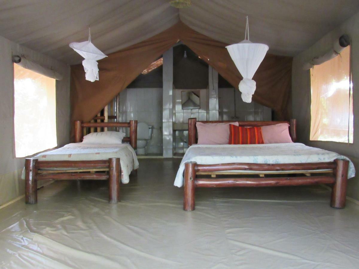 Enchoro Wildlife Camp Hotel Ololaimutiek Bagian luar foto