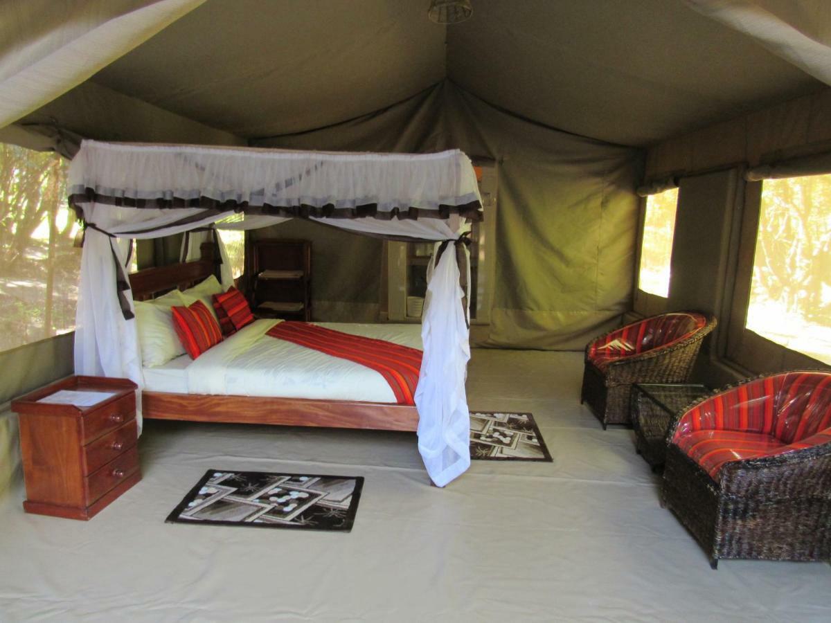 Enchoro Wildlife Camp Hotel Ololaimutiek Bagian luar foto