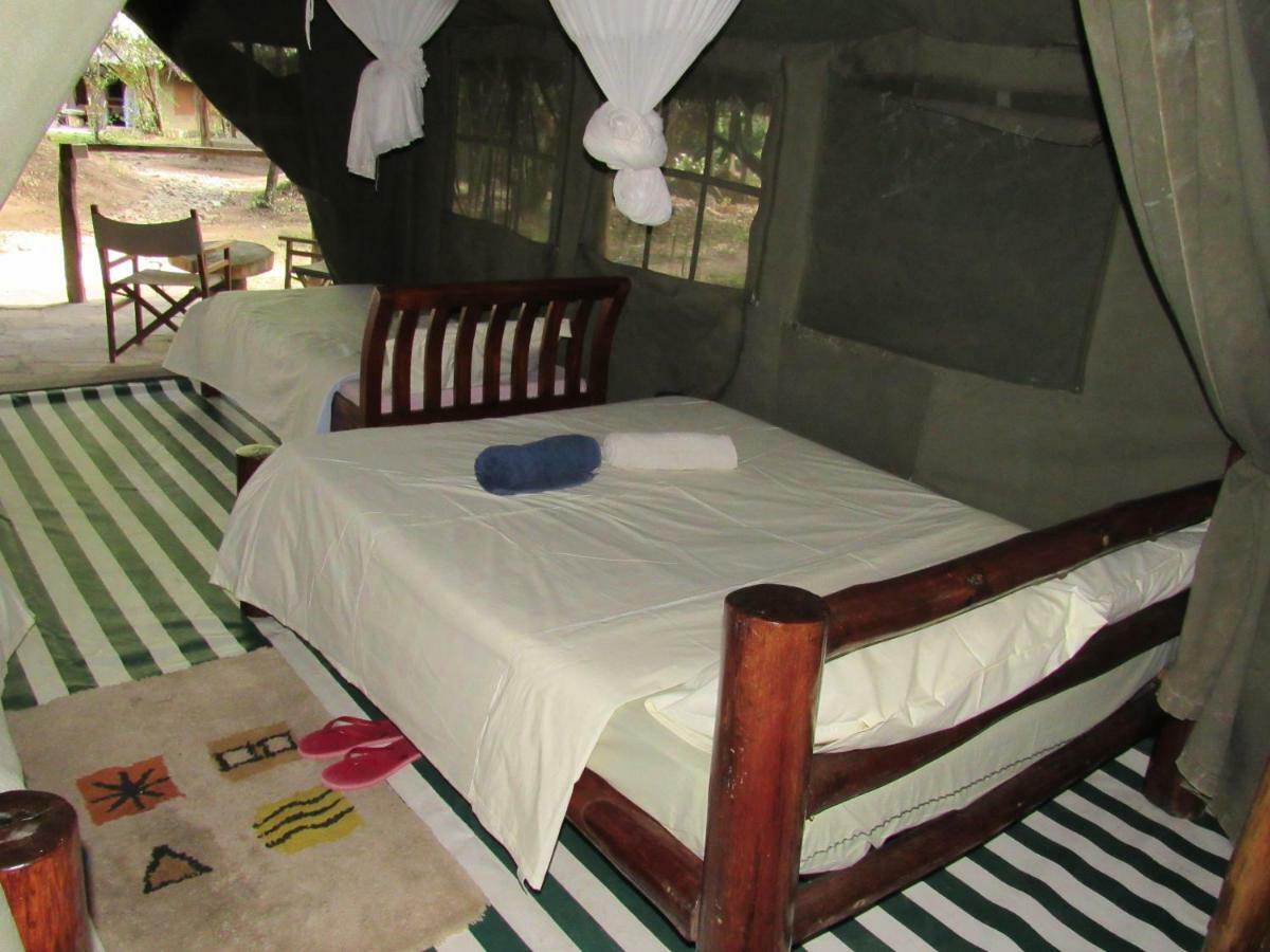 Enchoro Wildlife Camp Hotel Ololaimutiek Bagian luar foto