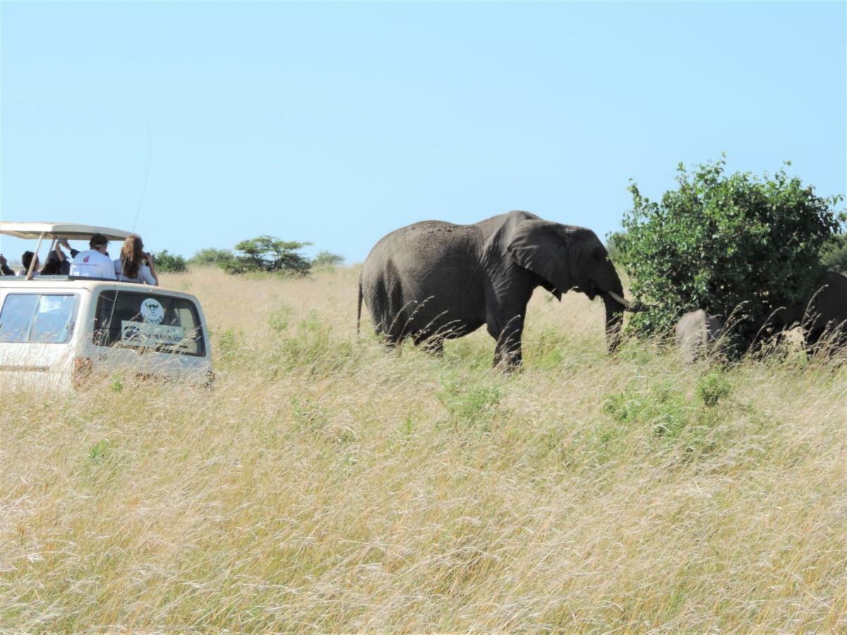 Enchoro Wildlife Camp Hotel Ololaimutiek Bagian luar foto