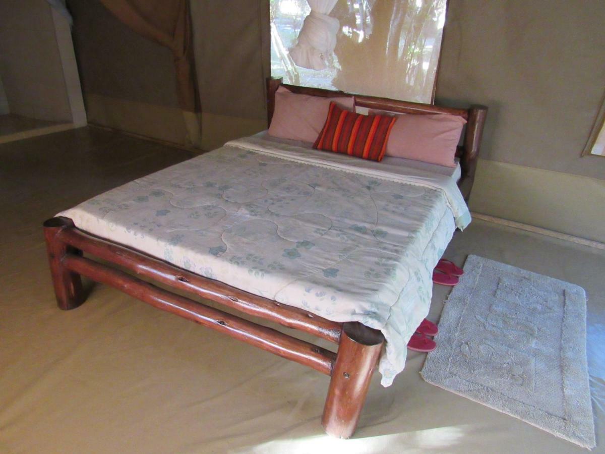 Enchoro Wildlife Camp Hotel Ololaimutiek Bagian luar foto